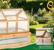 Elevated Planting Beds Garden Wooden Cold Frame Greenhouse 48'' X 24'' X 32.25'' Flower Planter Protection Wood