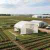 11.5' X 10' X 6.5' Walk-in Tunnel Greenhouse White with Zippered Mesh Door 7 Mesh Windows Roll-up Sidewalls Galvanized Steel Hoops