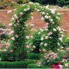 7'8" H x 4'5" W Metal Garden Arch Trellis,Adjustable Arbor Trellis for Garden Climbing Plants Support