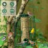 Wild Bird Feeder Gift for Bird Lovers, 4 Ports Multi-Bird Simultaneous Feeding Feeder