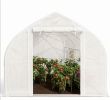 11.5' X 10' X 6.5' Walk-in Tunnel Greenhouse White with Zippered Mesh Door 7 Mesh Windows Roll-up Sidewalls Galvanized Steel Hoops