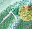 11.5' X 10' X 6.5' Walk-in Tunnel Greenhouse with Zippered Mesh Door 7 Mesh Windows & Roll-up Sidewalls Upgraded Gardening Plant Hot House on Galvaniz