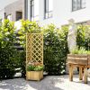 Natural Wooden Raised Garden Bed Planter with Trellis for Vine Climbing Vegetables Herbs And Flowers Growing