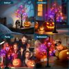 2 Pack 24 Inch Halloween Decorations Indoor Lighted Tree, Black Halloween Spooky Trees with 48 LEDs Orange & Purple Lights
