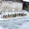Portable Tunneled Greenhouse with 4 Zippered Doors, Water/UV Fighting PVC Cover 13' L x 3' W x 2.5' H