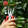 Agricultural Fruit And Flower Thinning Scissors for Household