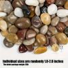20lbs Black Pebbles for Plants, 2-3 Inch High Polished Natural Large River Rocks for Landscaping