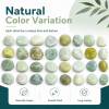 38 lbs White River Rocks, 2-3 inch Polished Pebbles - Versatile for indoor/outdoor use. Ideal for plant decor, vases, aquariums