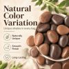 38 lbs White River Rocks, 2-3 inch Polished Pebbles - Versatile for indoor/outdoor use. Ideal for plant decor, vases, aquariums