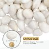 38 lbs White River Rocks, 2-3 inch Polished Pebbles - Versatile for indoor/outdoor use. Ideal for plant decor, vases, aquariums