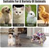 Portable Cat Tent Bed â€“ Foldable Indoor Tent Bed for Cats & Small Dogs, Washable Cushion, Cozy Hideaway for Kittens & Cats, Easy Assembly & Travel