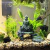 20lbs Black Pebbles for Plants, 2-3 Inch High Polished Natural Large River Rocks for Landscaping
