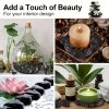 20lbs Black Pebbles for Plants, 2-3 Inch High Polished Natural Large River Rocks for Landscaping